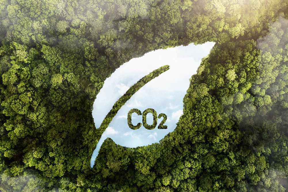 CO2 Capture Technology